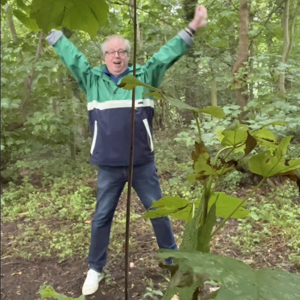 walk dog walk stretch cover