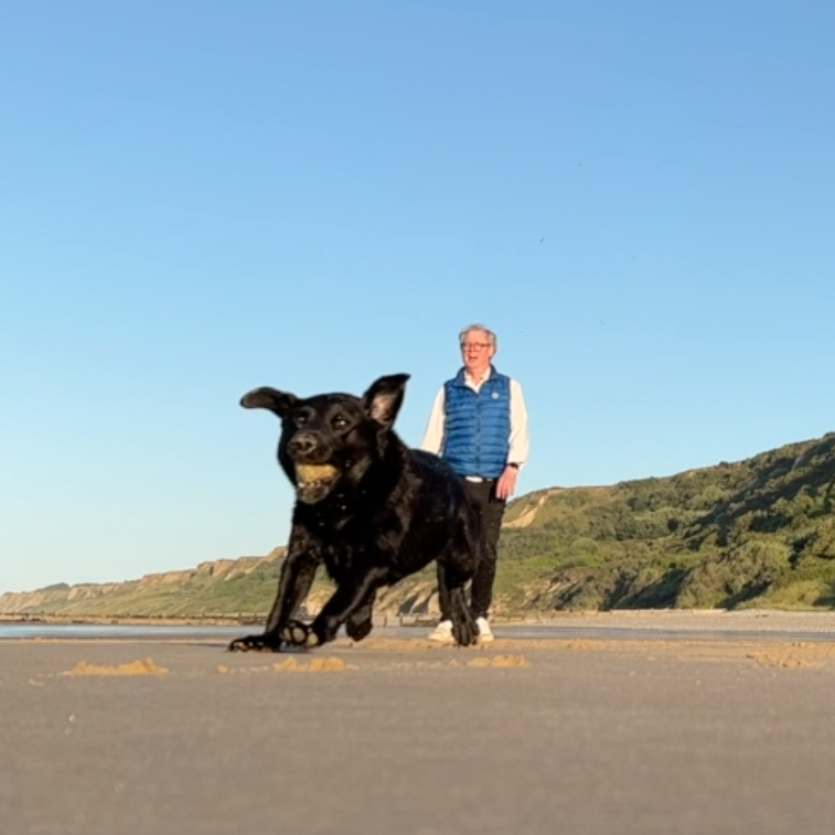 BEACH BALLET PAS DE DOG